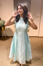 Panelled Dress